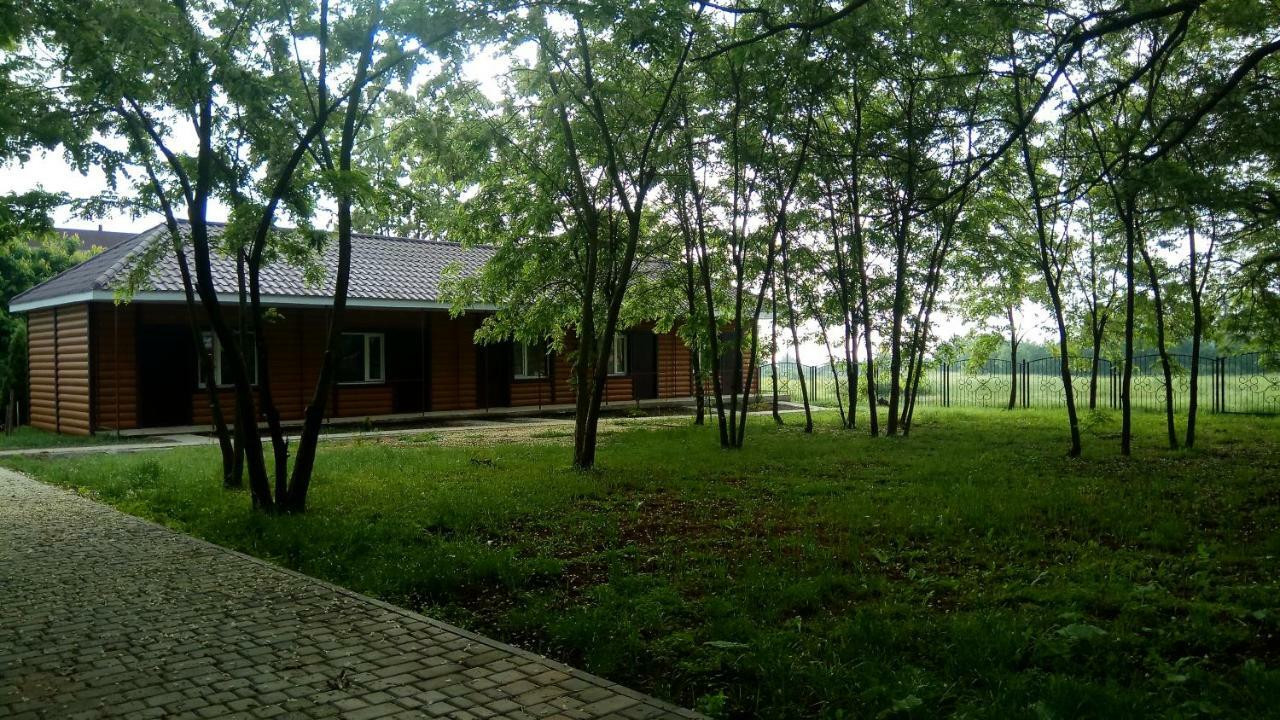 Отель "Лагита" Sergeevka Exterior foto